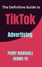 The Definitive Guide to TikTok Advertising Summarycover