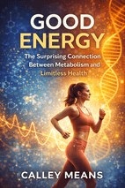 Good Energy Summary book cover