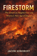 Firestorm Summary book cover